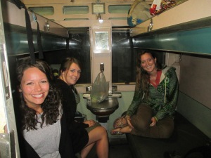 The Train to Vic Falls